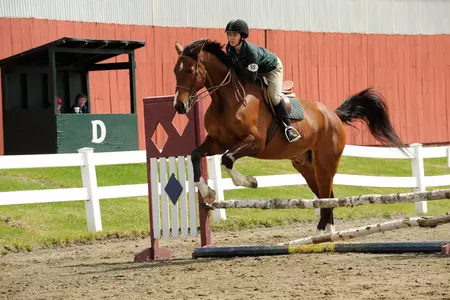 Dixon and Witte Represent Dartmouth at Zone I Championship Show