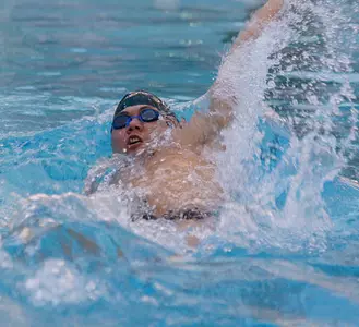 Dartmouth Swims Well in Final Home Meet Against Princeton