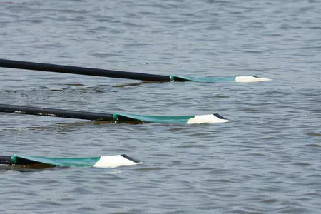 Big Green Crews Row at Princeton Chase