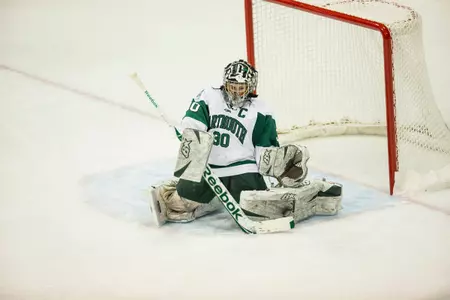 Women's Hockey Hosts Princeton and Quinnipiac in Conference Action