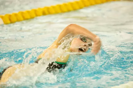 Women's Swimming and Diving Defeats UConn on Saturday