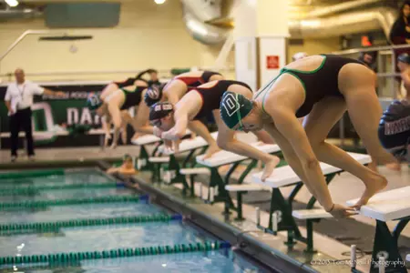 Women's Swimming and Diving Ivy Championships Preview