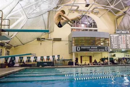 Brett Gillis Named ECAC Diver of the Week