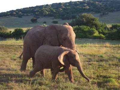 Juniors In Their Off-Term: Tabby Sabky in South Africa and Austria