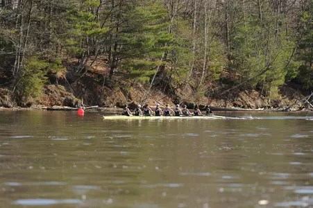 Women's Rowing Falls to No. 20 Cornell in Race for Parent's Cup