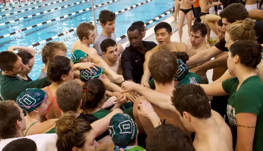 Men's Swimming and Diving Adds Six to Roster for 2015-16 Season
