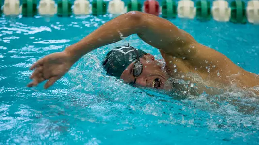 Men's Swimming & Diving Heads to Princeton for Ivy Championship