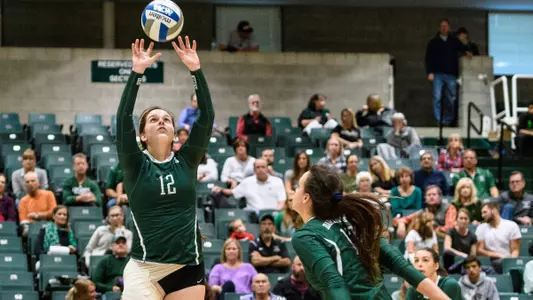 Dartmouth Drops Home Match to Princeton