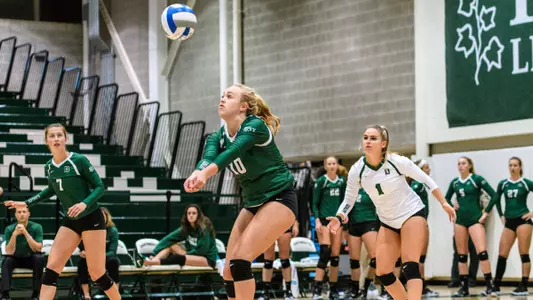 Big Green Defeat the Bears in Straight Sets