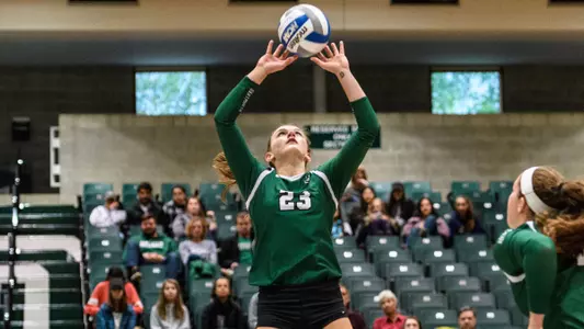 Big Green Fall to Tigers on the Road, 3-1