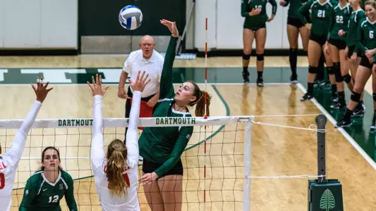 Bulldogs and Bears on Tap for the Big Green