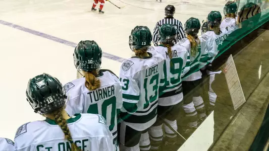 Eleven Named to ECAC Hockey All-Academic Team