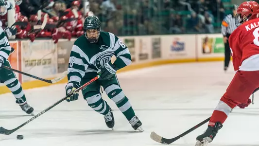 Tanner Palocsik men's hockey action versus Cornell