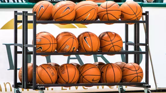 Basketballs on a rack