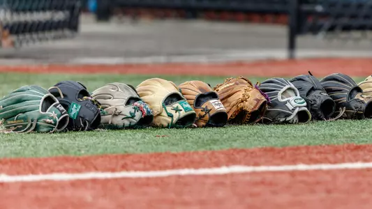 Softball Gloves