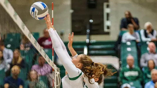 Francesca Meldrum action against Hofstra