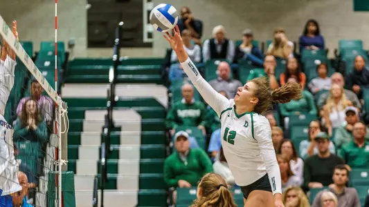 Grace Wiczek action against Hofstra