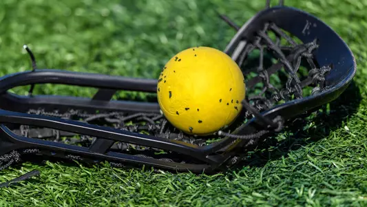 Lacrosse ball and stick