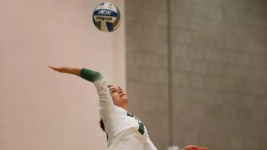 volleyball action versus Harvard