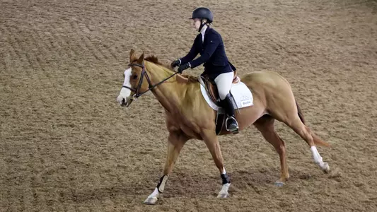 Sophia Arana Equestrian ECAC Championship Meet