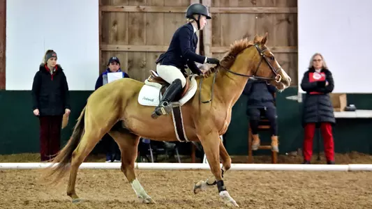 Sophia Arana Equestrian ECAC Championship Meet