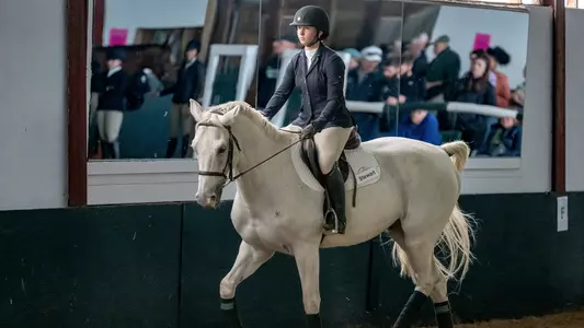 Margot Luria equestrian action