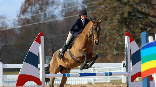 Equestrian