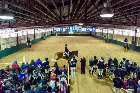 Morton Farm Riding Center