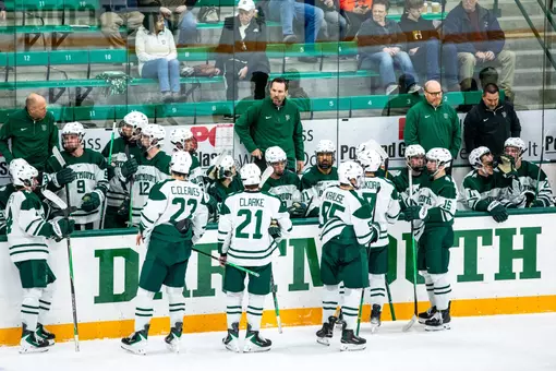 DMIH stands at the bench after a timeout