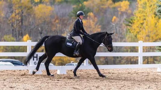 Dartmouth equestrian rides at home