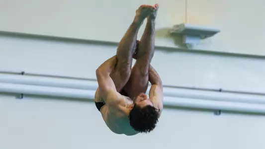 Men's Diving