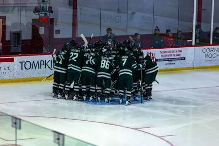 DMIH huddled at net at Cornell