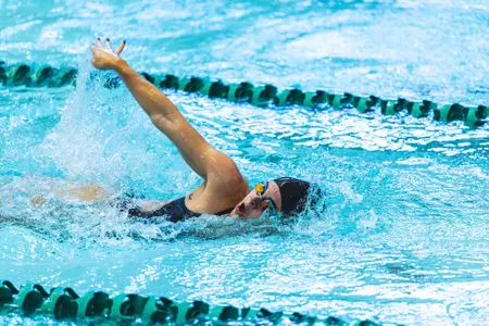 Swim and dive at home
