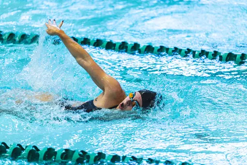 Swim and dive at home