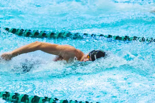 Men's swim and dive at home