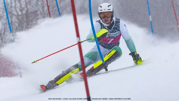 Heming Sola Colby SL