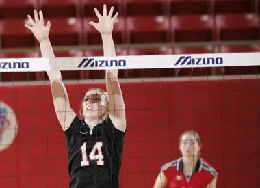 'Cats Host Catamounts, Mocs at Belk Arena Image