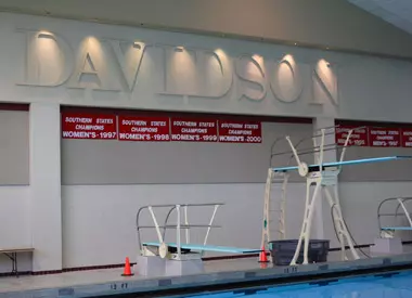 Lane Concludes Impressive Season at NCAA Zone B Diving Championships Image