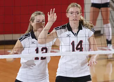 'Cats Drop Final Two at Arizona Invitational Image