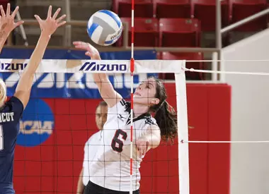 Eagles Soar Past Wildcats Image