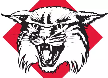 Wildcat logo