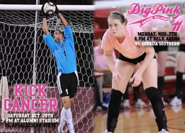 Kick Cancer Dig Pink Header