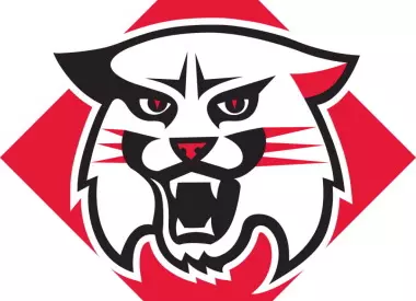 Davidson Logo
