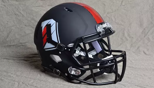 Davidson Wildcat Football helmet. Portrait