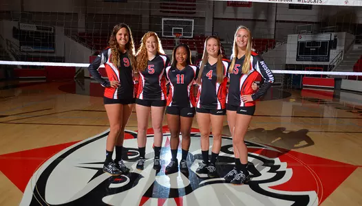 vb_seniors
