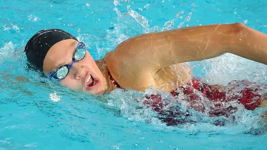 Lankiewicz, 2015