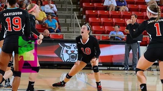 vb celebration