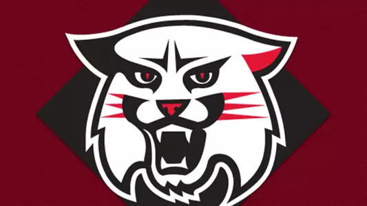 Black Wildcat head, generic stories