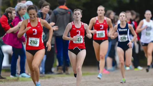 Wildcats To Compete at NCAA Southeast Regional Meet Image