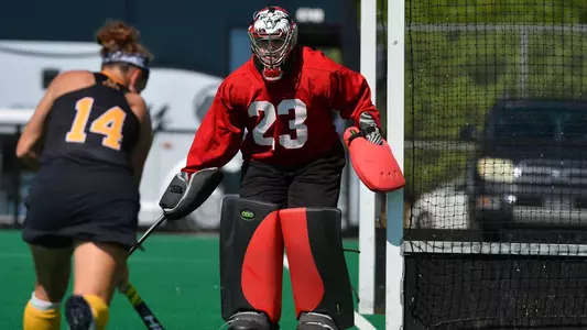 Sarah Zeszotarski, 2017